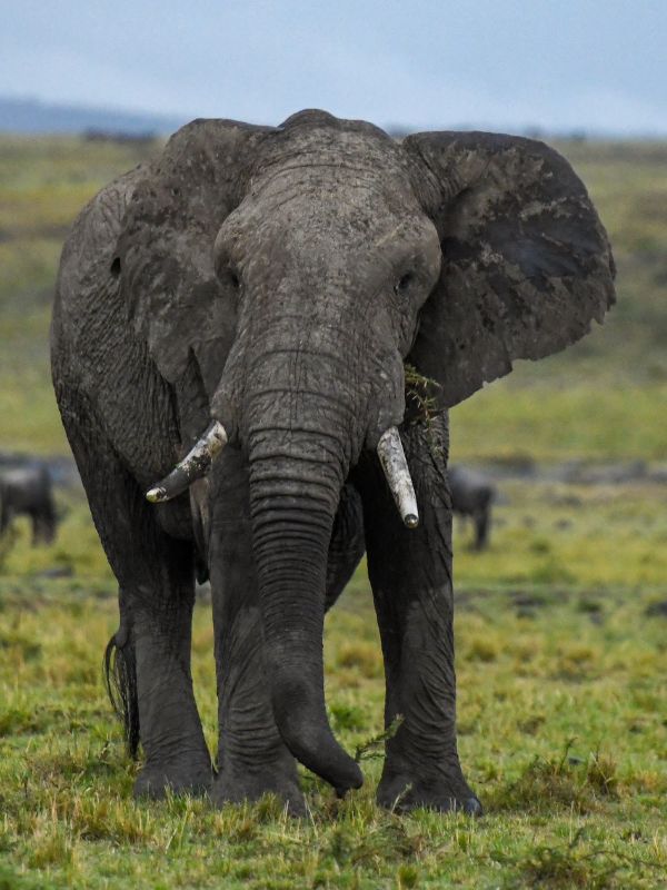 Tanzania