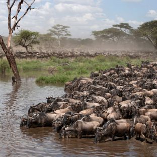 tanzania 2