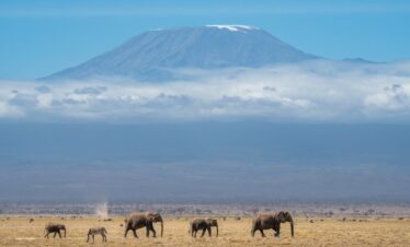 4 Days Lake Nakuru & Masai Mara Safari